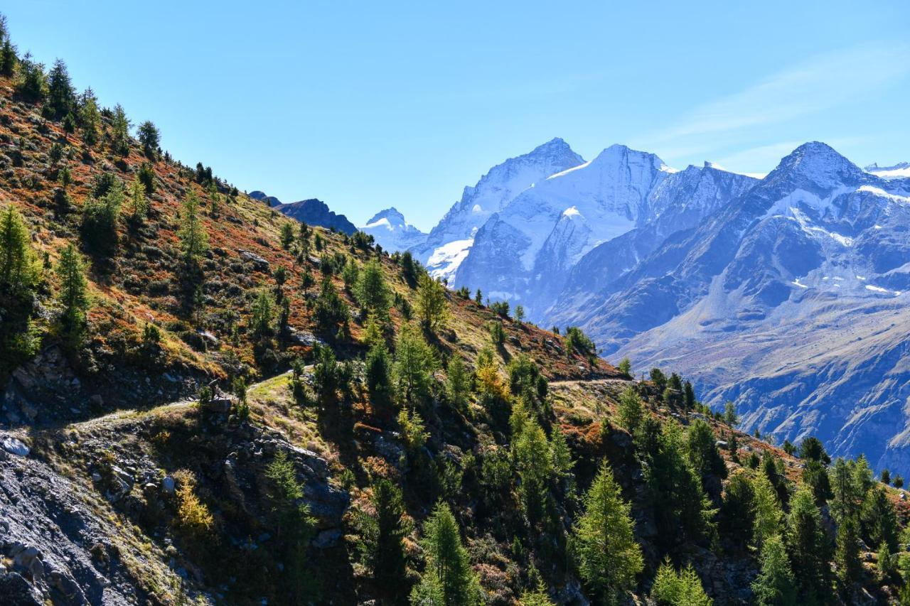 Hotel Le Besso - Swiss Romantic Lodge زينل المظهر الخارجي الصورة